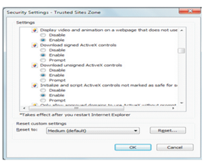 How to enable Active-X Controls & plug-ins Step 2 03